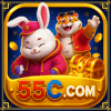 Logo da 55C